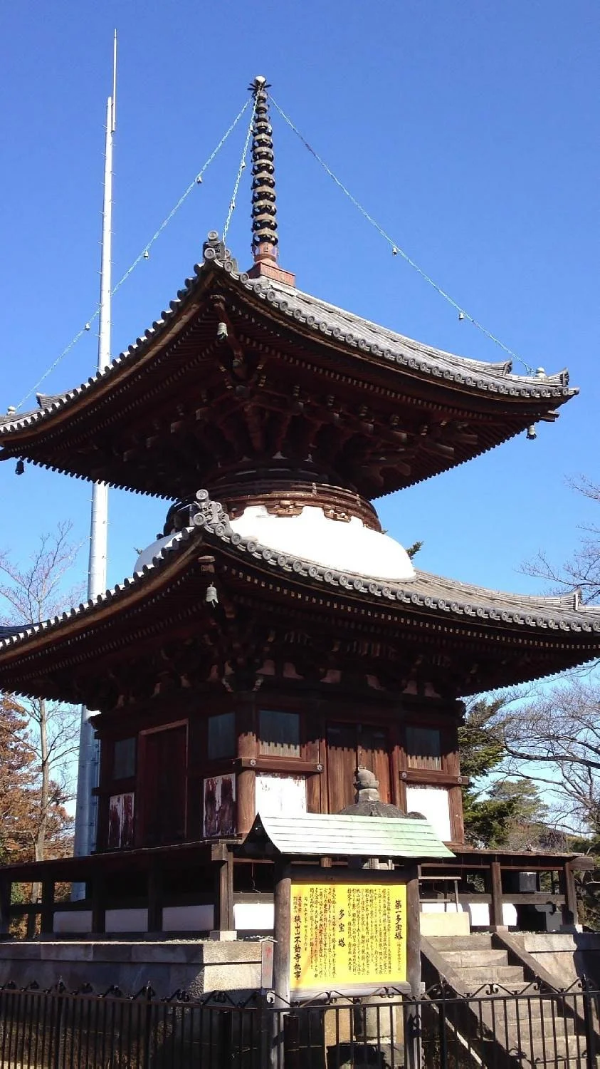 Sayama Fudoson