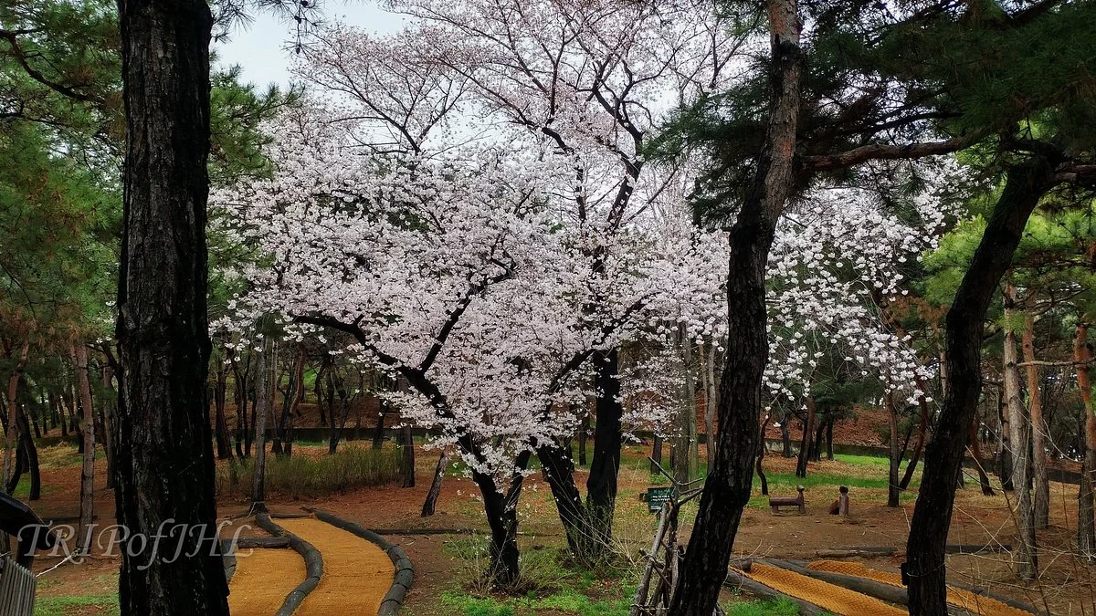 Namsan Outdoor Botanical Garden