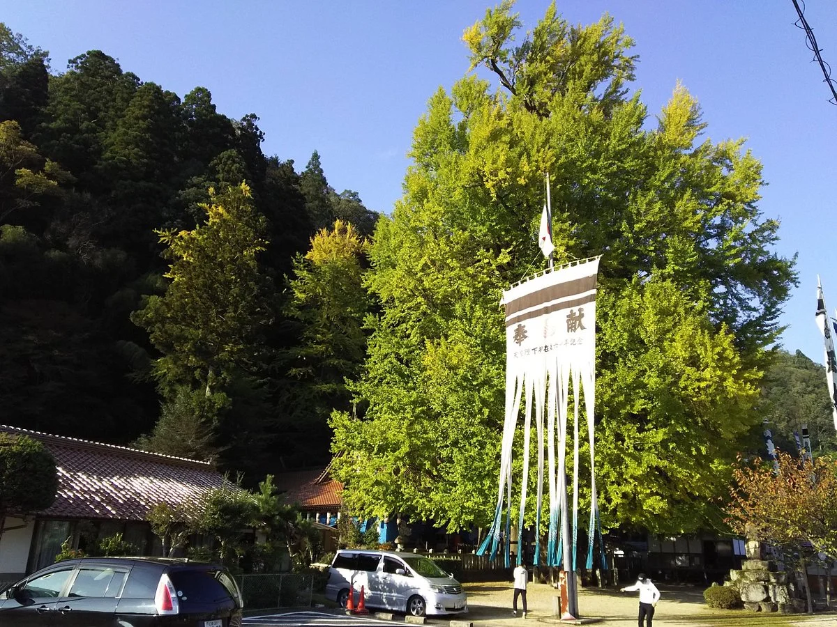 Tsutsuga no Oicho