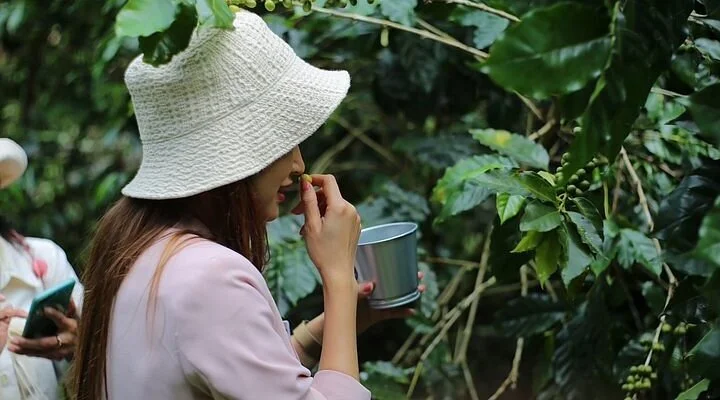 Ban Kae Phayao