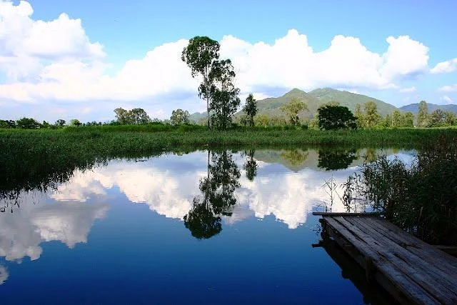 Nam Sang Wai