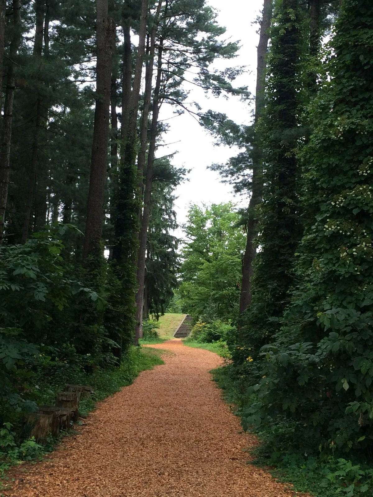 Asahikawa Forest of Foreign Tree Species