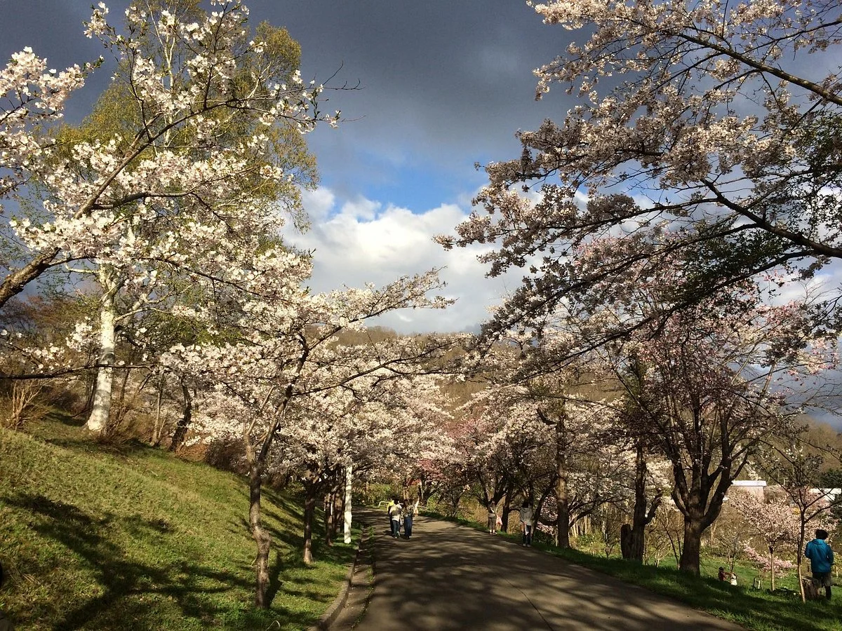 Tomei Park