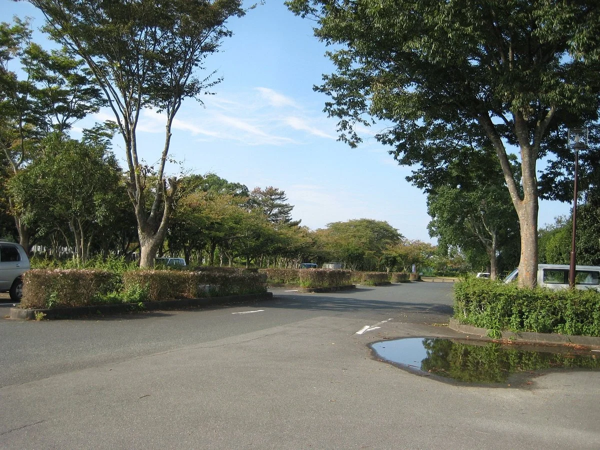 The Historic Battlefield of Mikatahara
