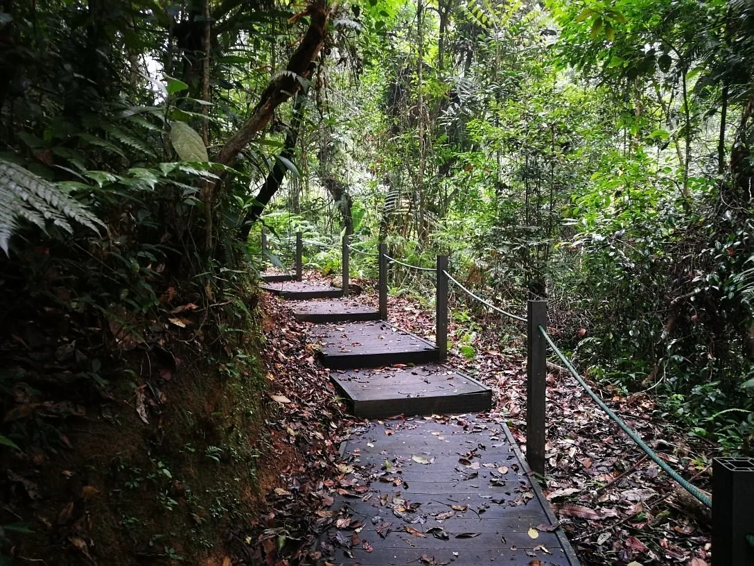 Hemmant Trail