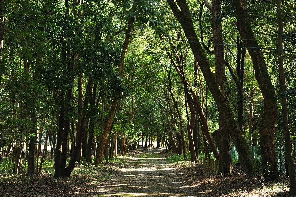 Kashihara Forest Park
