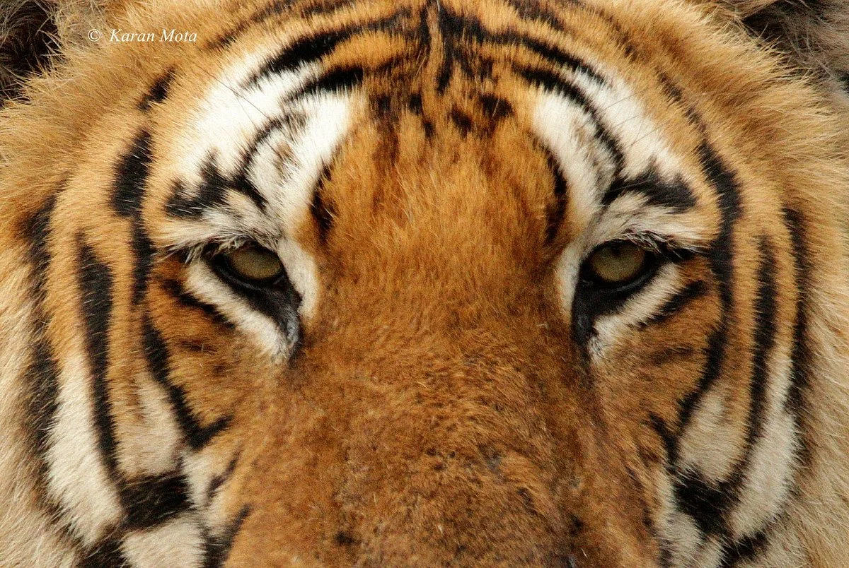 BRT Wildlife Sanctuary