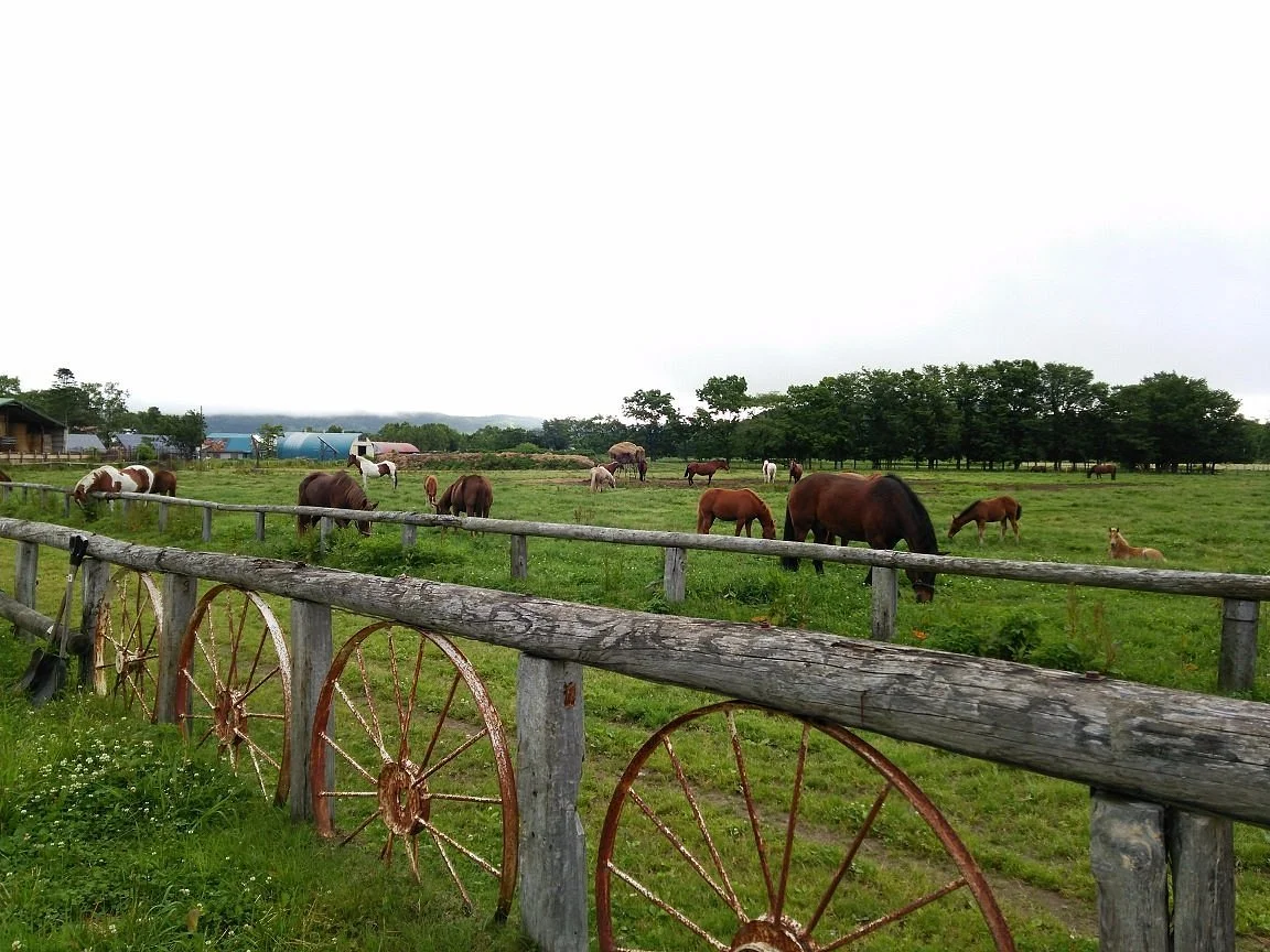 Kawayu Park Ranch