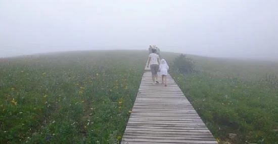 Mt. Lishan Scenic Resort