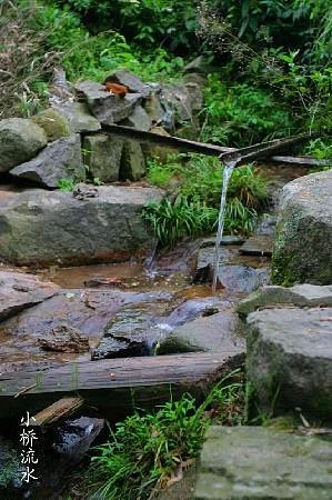 Lishui Suichang Jiulong Mountain