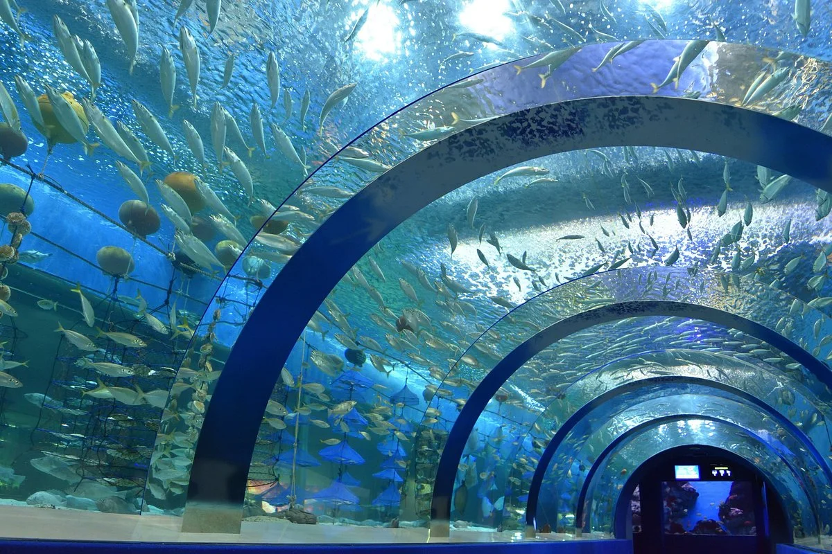 Aomori Asamushi Aquarium