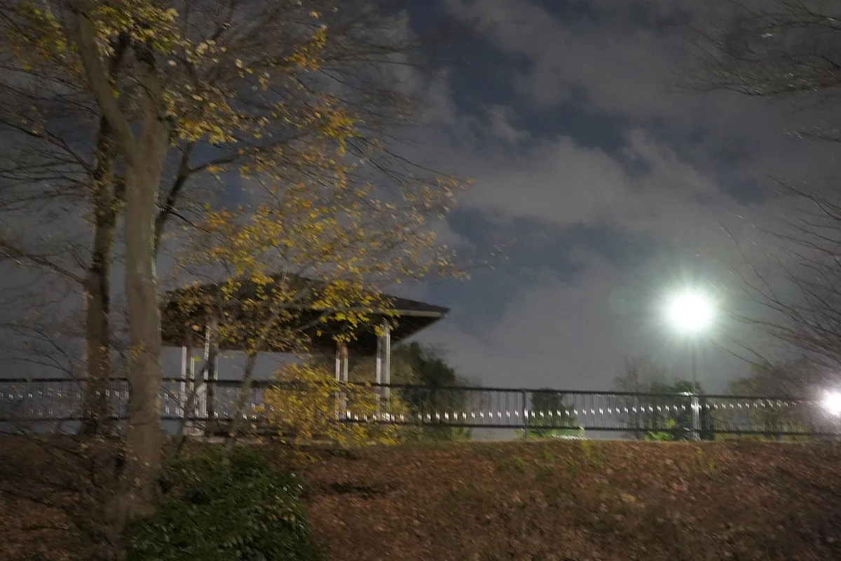 Maruyamajoshi Park