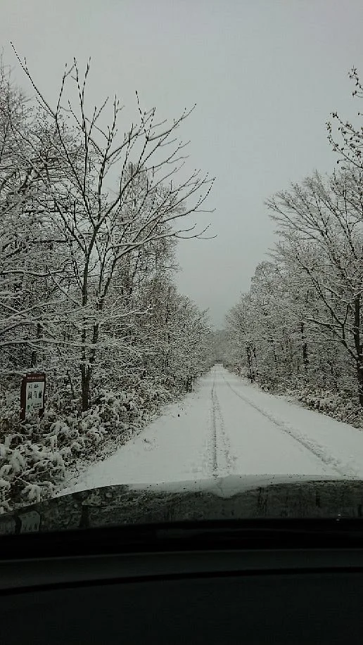 Tsurumi Pass