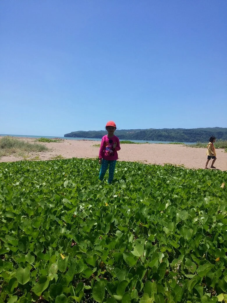 Pancer Beach
