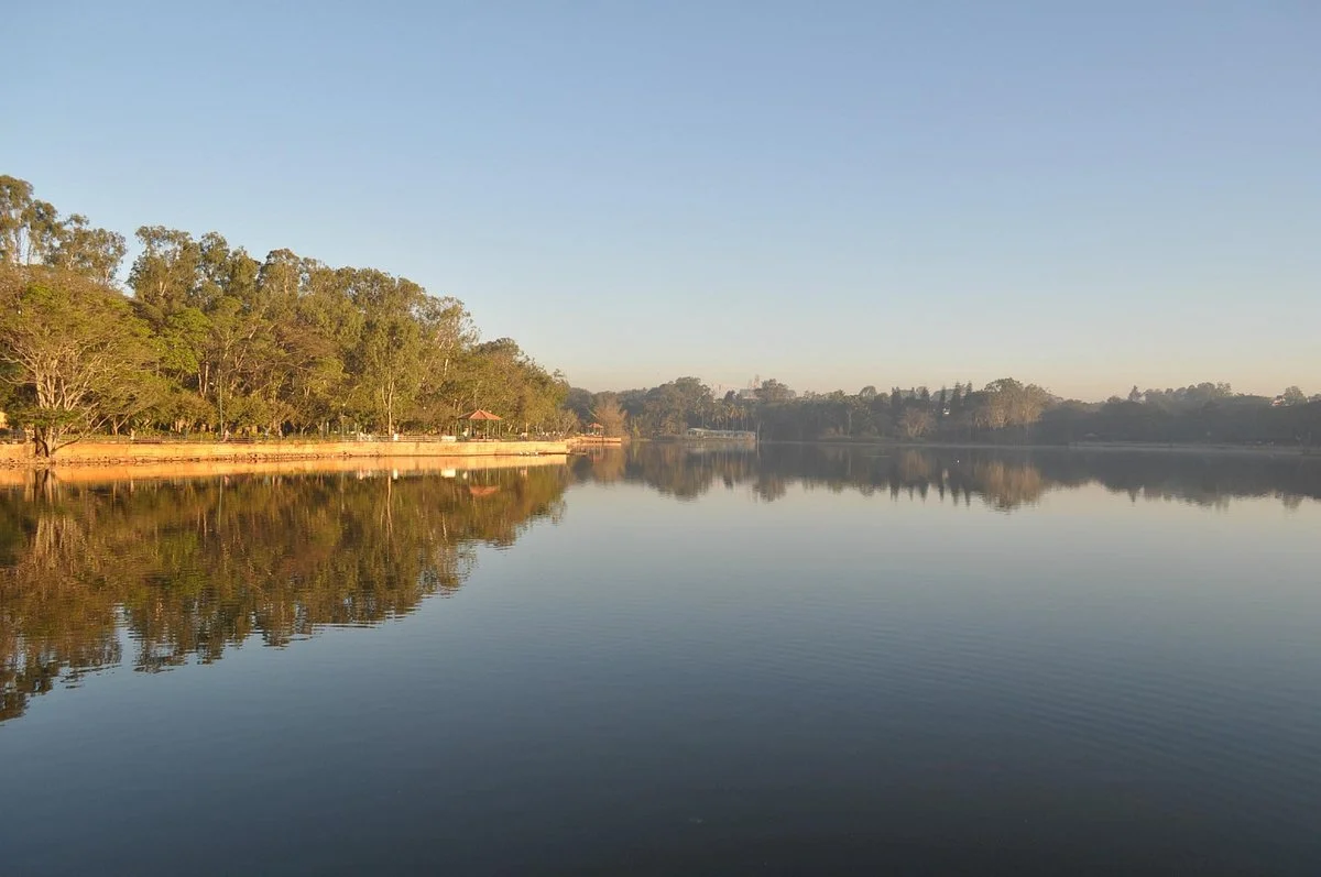 Sankey Tank