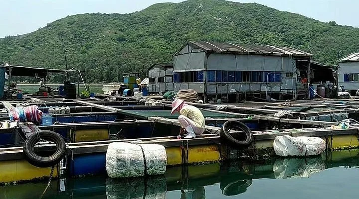 Wanning Xinglong Hot Spring