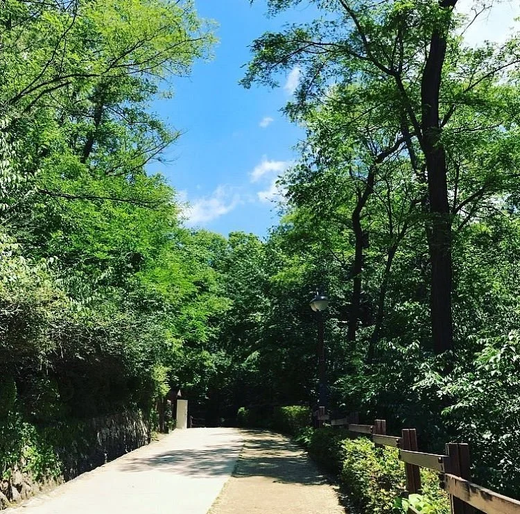 Samcheong Park
