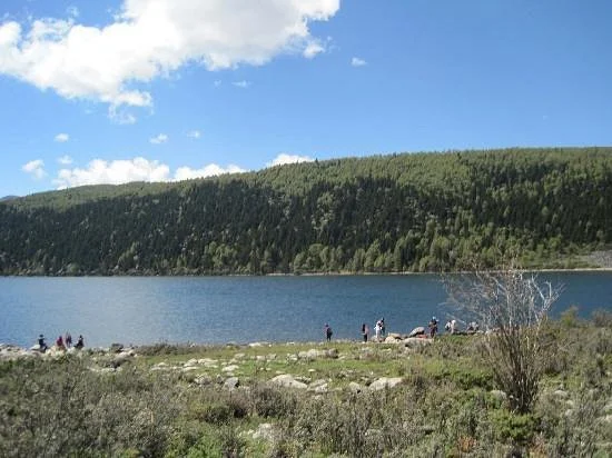 Lotus Lake of Kangding