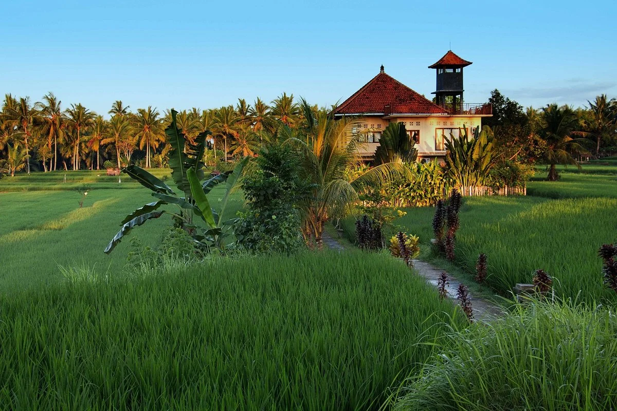 Subak Juwuk Manis (Ubud Rice Field)