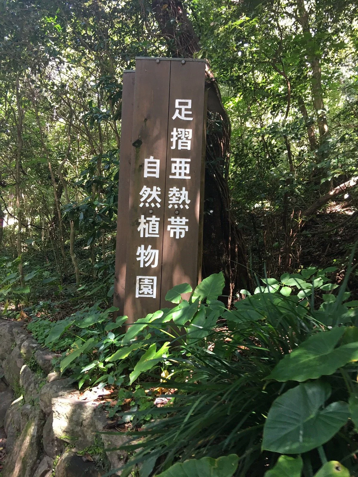 Ashizuri Anettai Shokubutsu-en