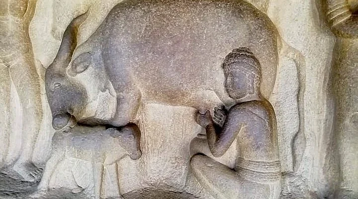 Veda Gallery