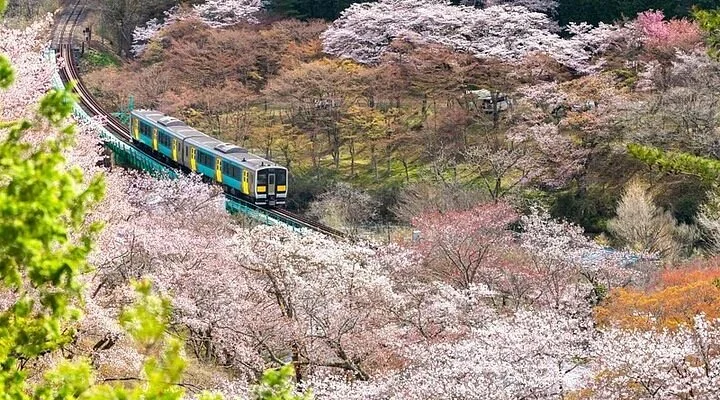 Maruyama Emmeido Ruins
