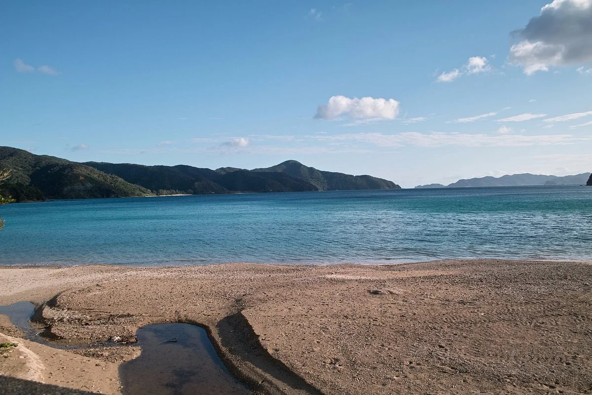 Osai no Gajumaru