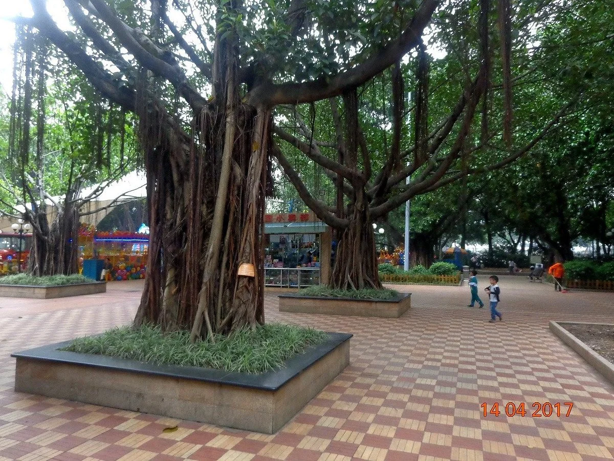 Dongfeng Park