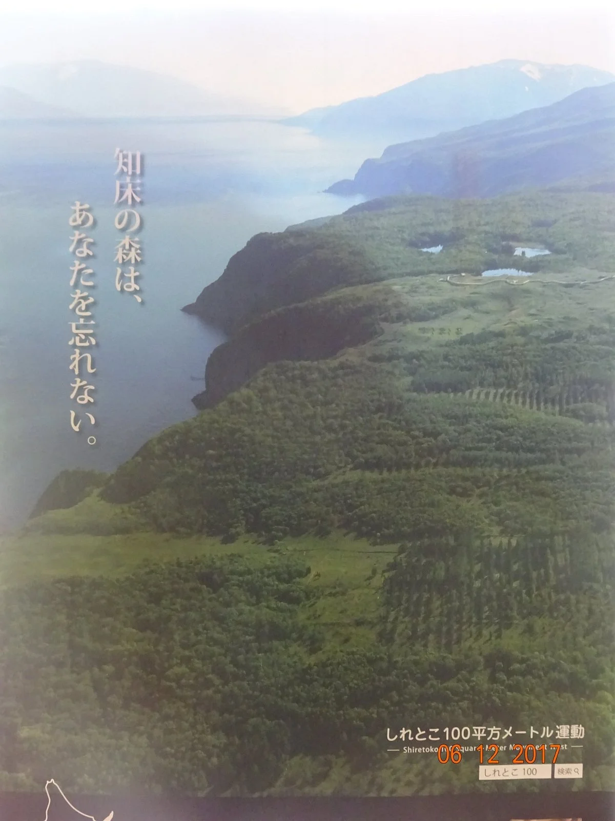 Shiretoko 100 Square-Meter Trust Forest