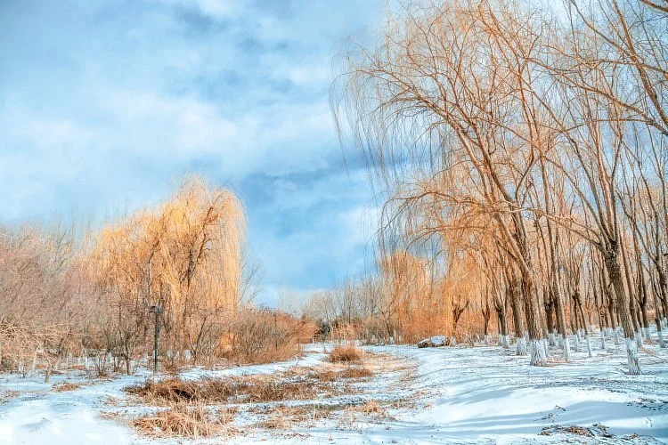 Chifeng Botanical Garden