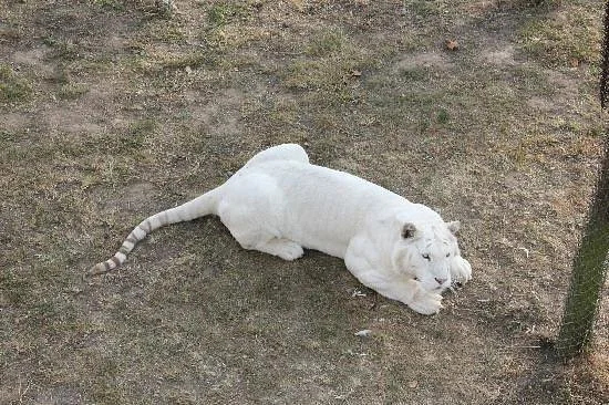 Xixiakou Zoo