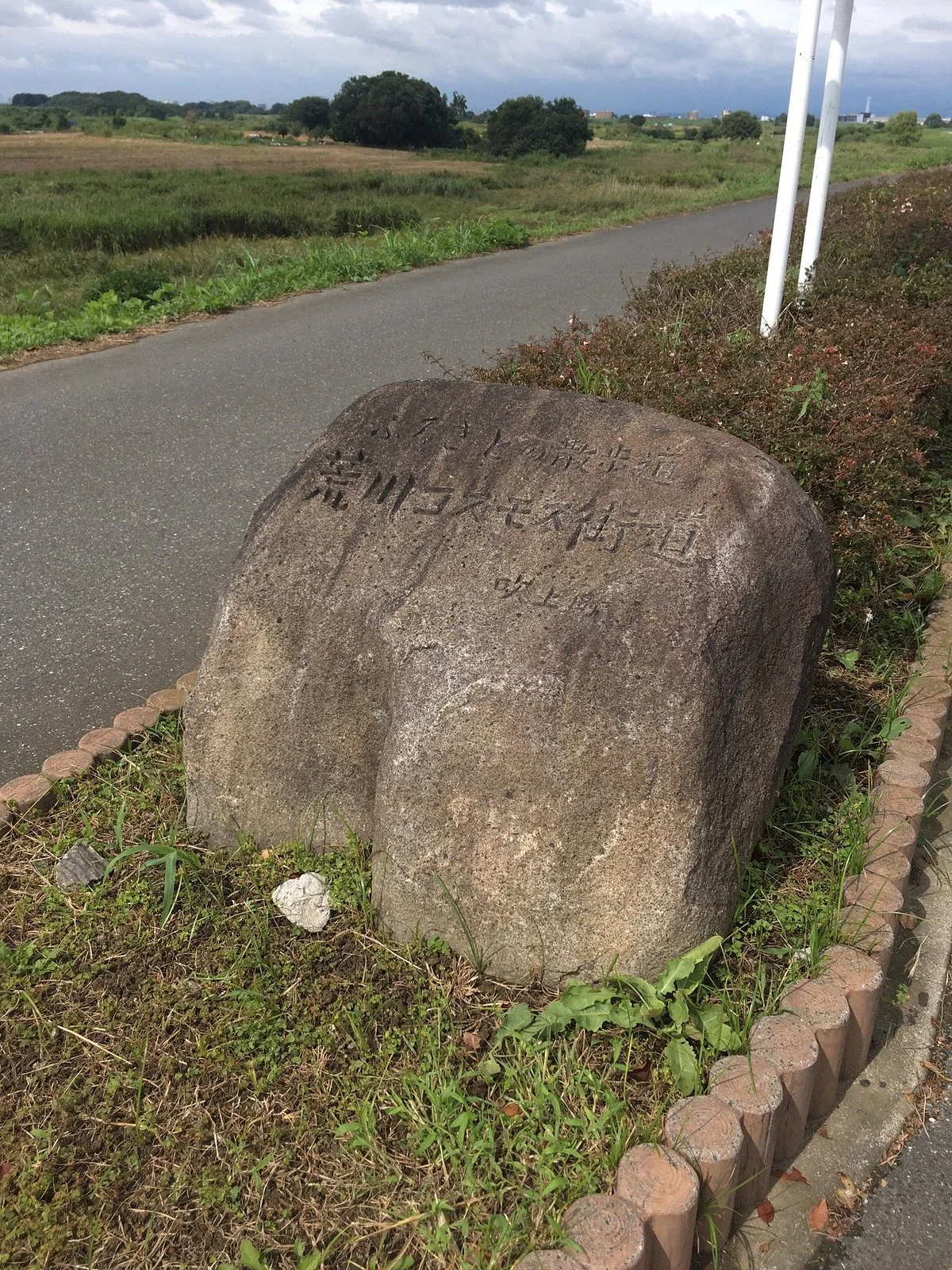 Arakawa Cosmos Road