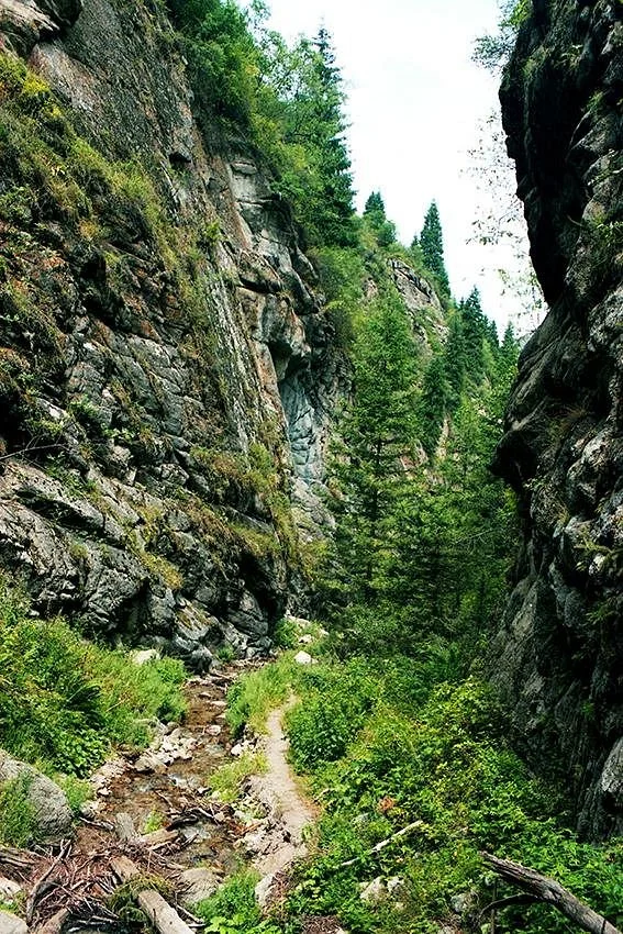 Monakhovo Gorge