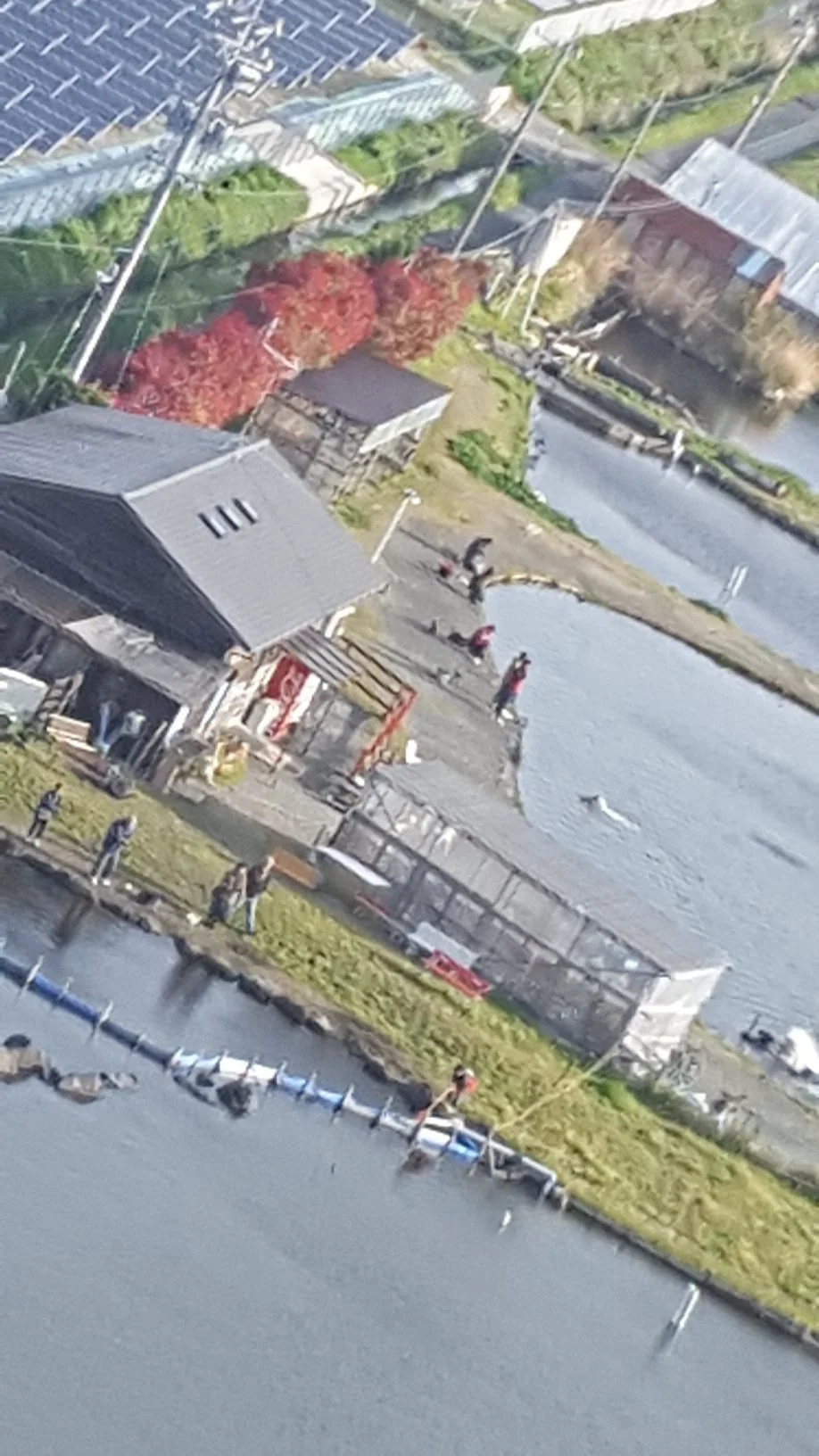 Hamanako Fishing Resort