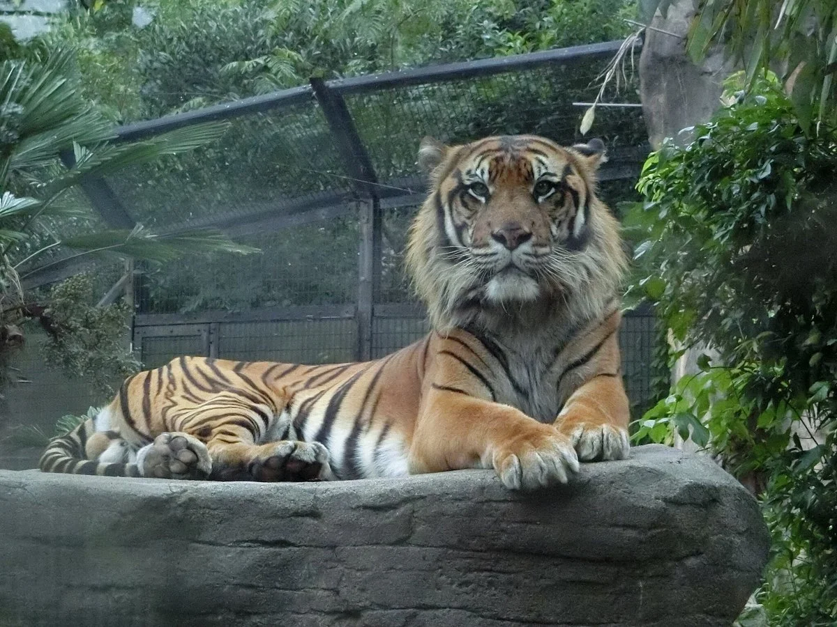 Yagiyama Zoological Park