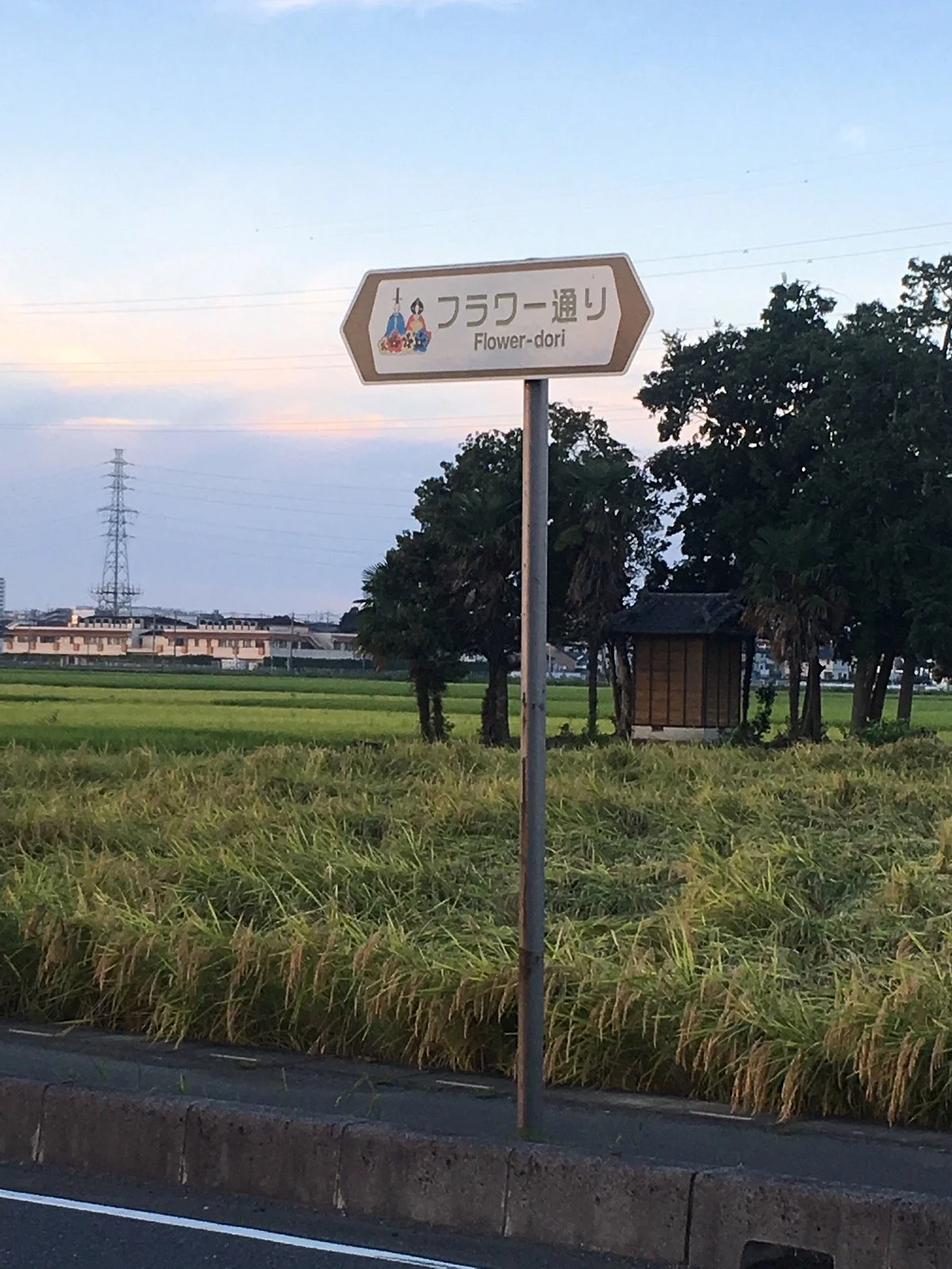 Flower-dori
