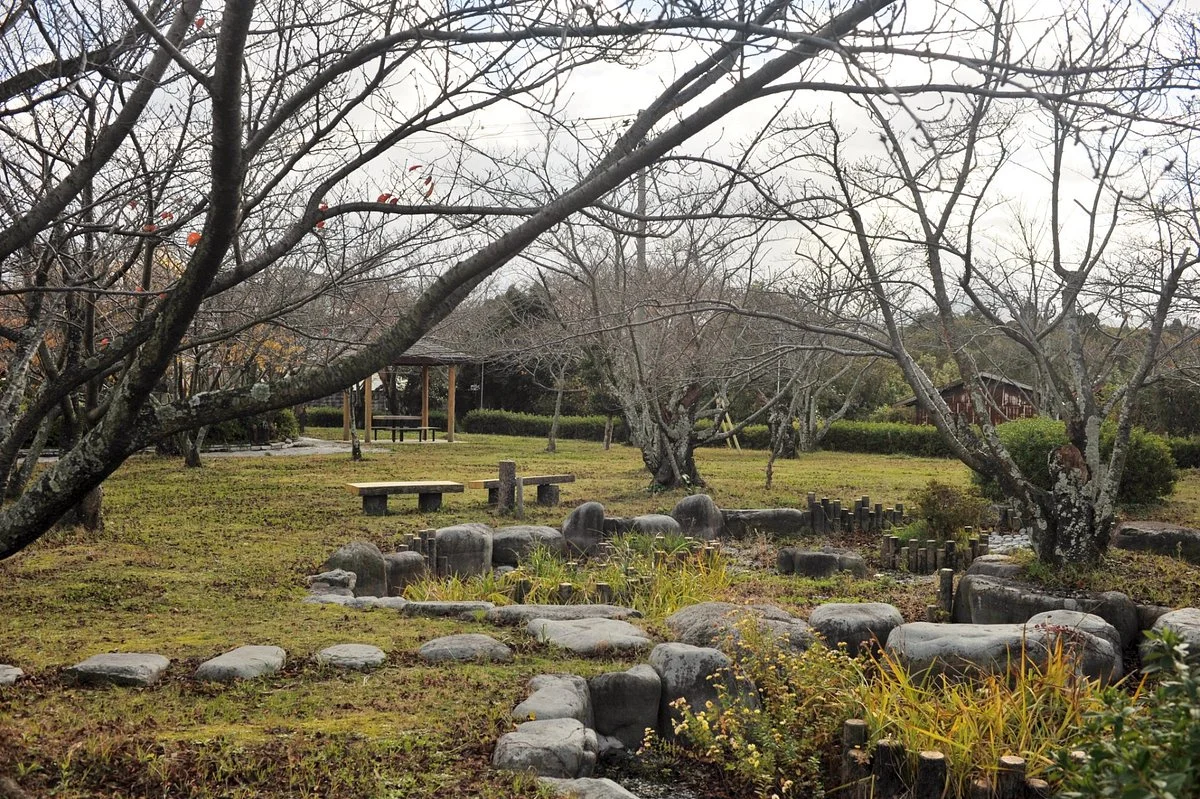 Nawa Park