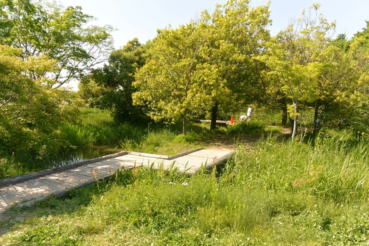 Iwakura Natural Ecology Park