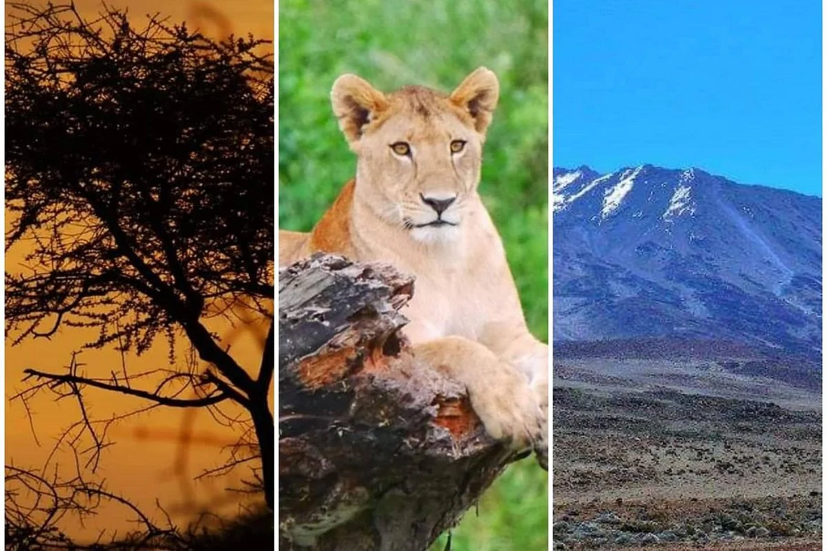 FB Tanzania Expeditions