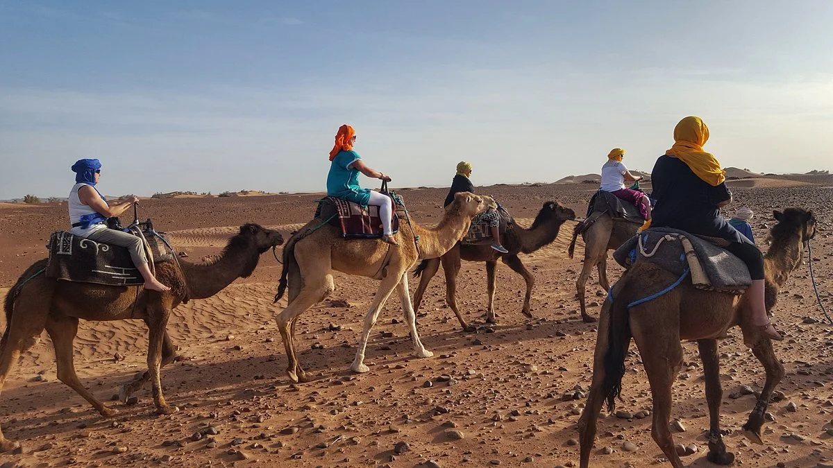 Maroc Ali Tours