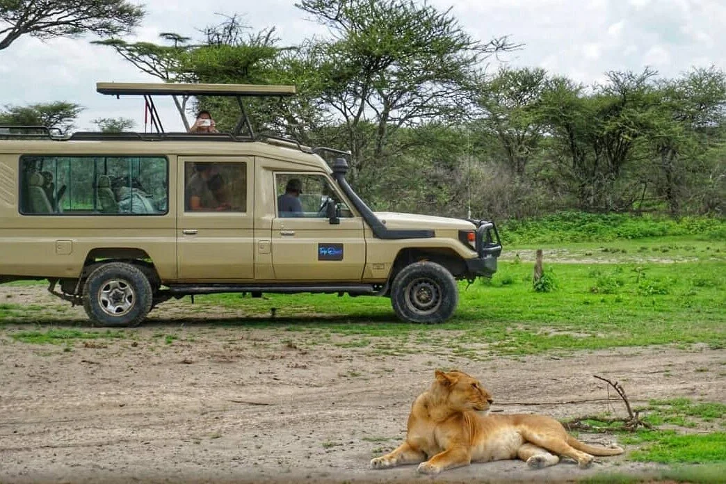 Trip Quest Safaris