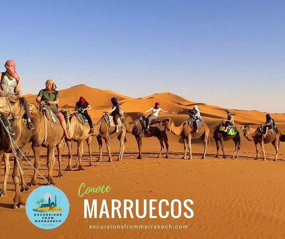 Excursions from Marrakech