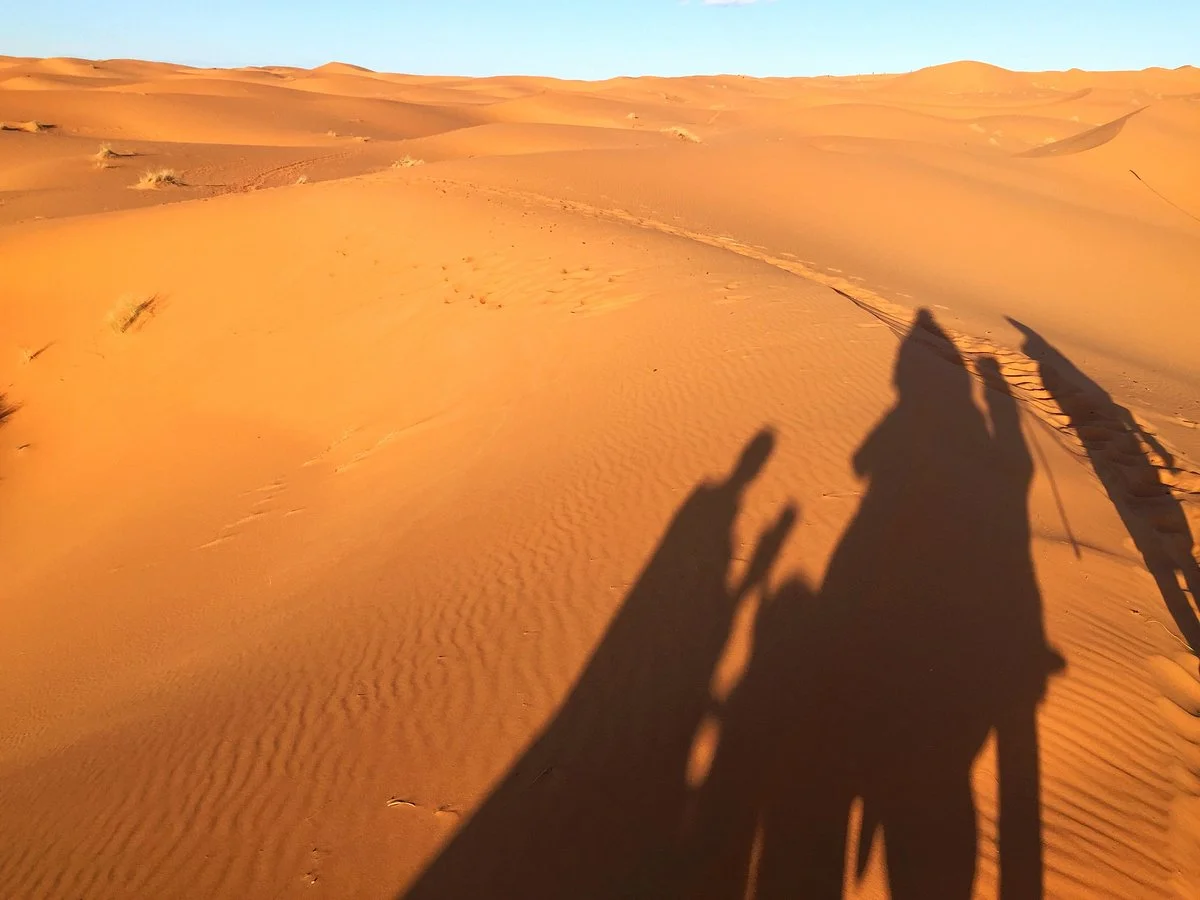 Unique Sahara Tours