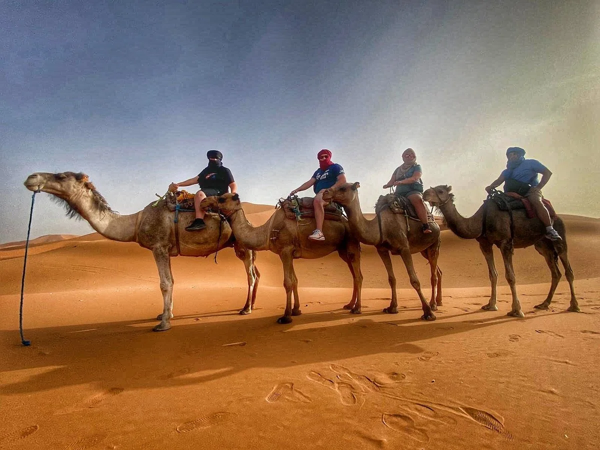 Morocco Camel Tours