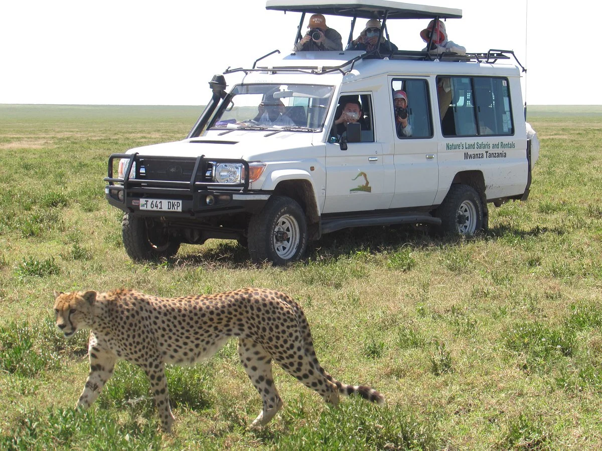 Nature's Land Safaris & Rentals