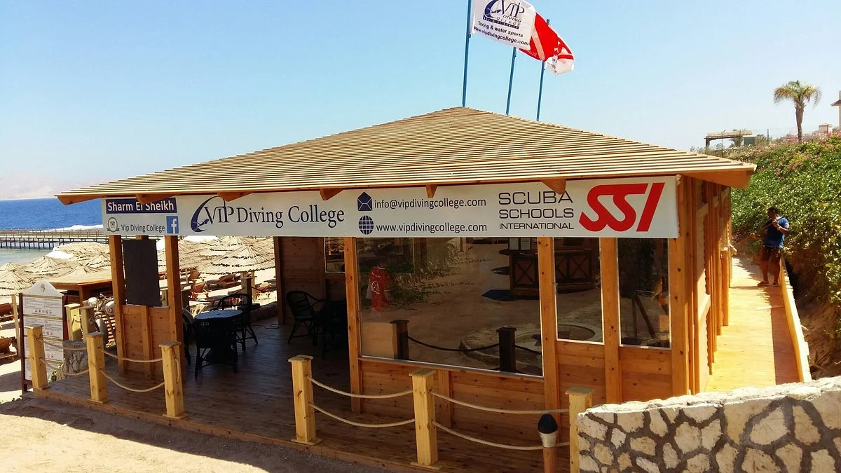 VIP Diving College