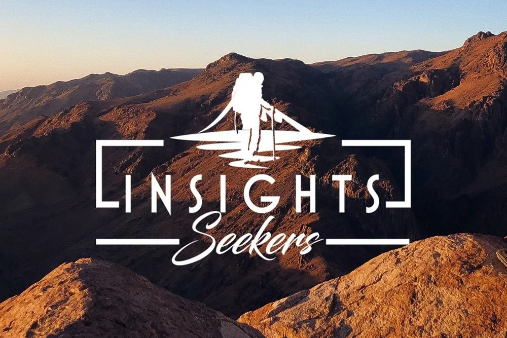 Insights Seekers