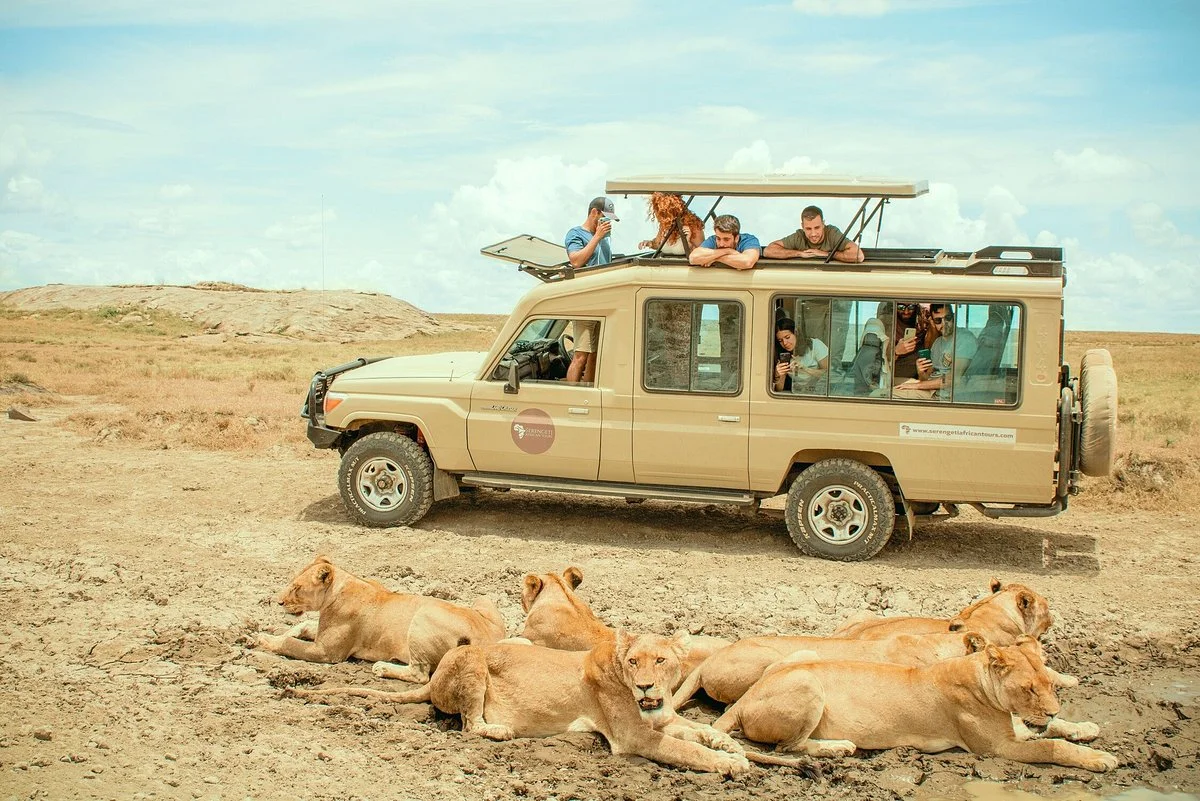 Serengeti African Tours