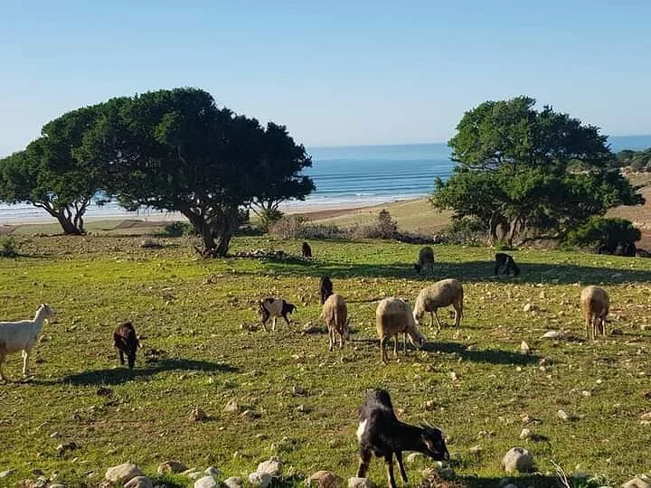 Green Adventure