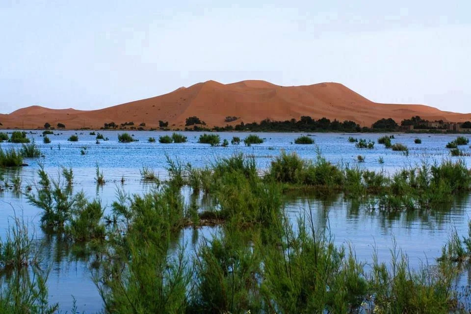 Disfruta Marruecos Viajes